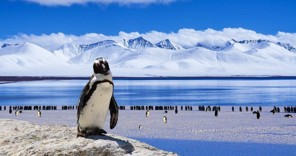 La partie sud de l'Antarctique britannique portera le nom de la Reine Élisabeth II en l'honneur de son 60e règne.